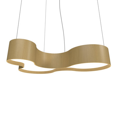 Orgânica 1 - Light LED Unique/Statement Pendant