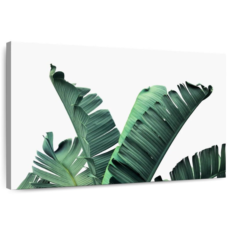 Harnek épais feuilles de bananier, H 34 po x l 51 po
