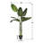 78'' Faux Banana Leaf Tree in Pot