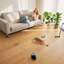 Cat Toys