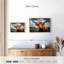 Silly Highland Cow-1858440925-1858440914