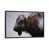 Distressed Black Frame selected