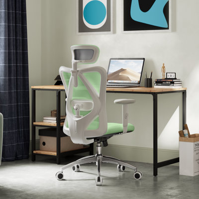 Ergonomic Chair with Adjustable Headrest, Armrest and Lumbar Support