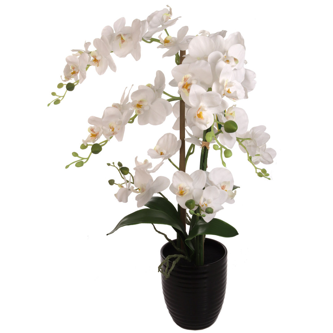 Faux Orchid Floral Arrangement in Vase - Elegant Artificial Flowers for Home Decor Primrue Base 