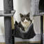 Giovanna 177cm H Cat Tree