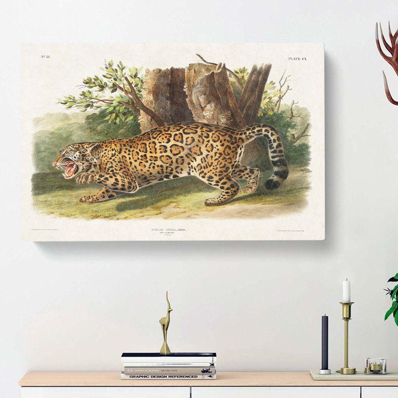 Jaguar by J.W. Audubon - Wrapped Canvas, 35cm H x 50cm W x 3cm D