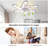 Ceiling Fan with LED Lights