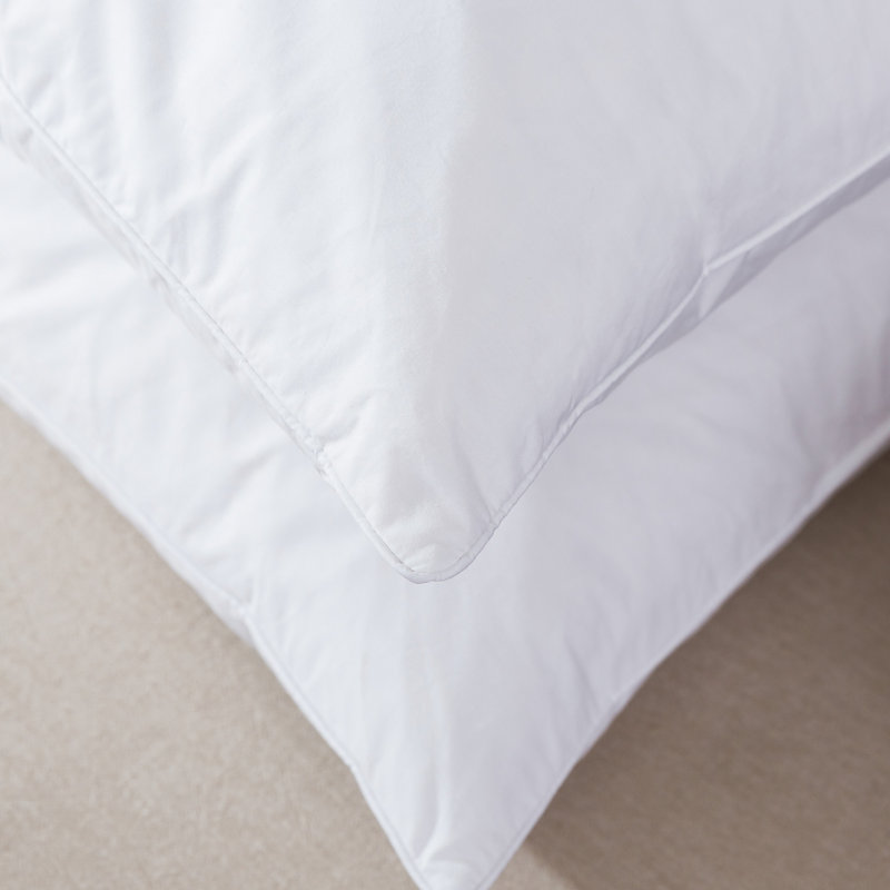 Afrin Feather Medium Pillow, 20" x 36