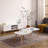 EGG SHAPE COFFEE TABLE