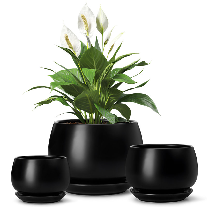 TYHPOT Ceramic Pot Planter, Black