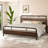 Aveana Platform Bed-1504581935-1504581931
