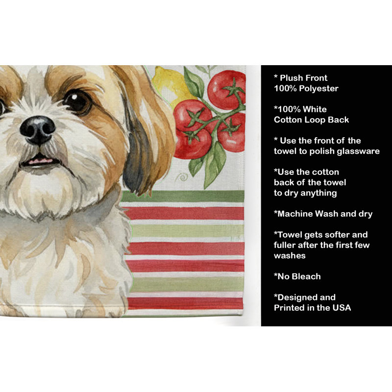 Torchon doré et blanc Shih Tzu, Gold/White Shih Tzu