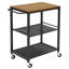 Alissah Metal Bar Cart