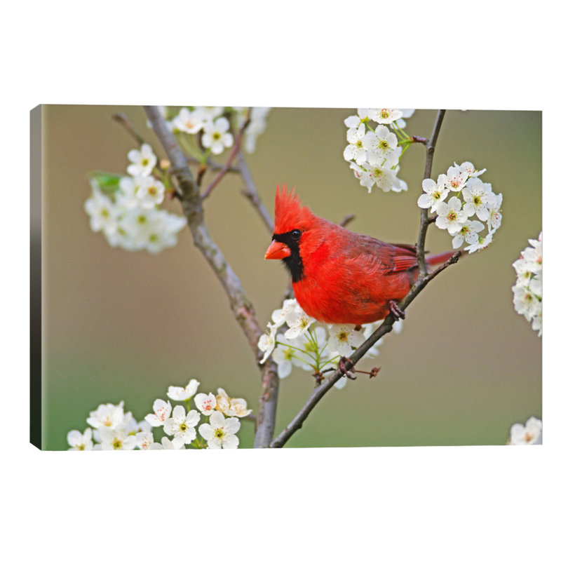1 Piece Wall Art on Canvas, 101.6 cm H x 66.04 cm W x 1.91 cm D, Wrapped Canvas
