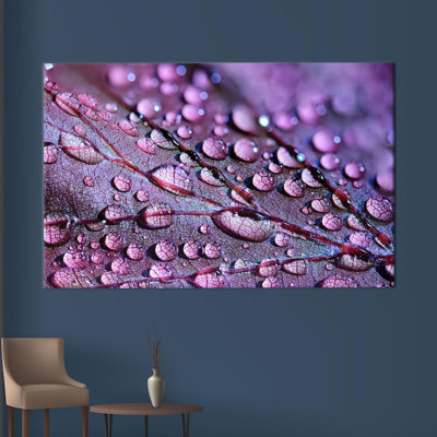 Print on Canvas