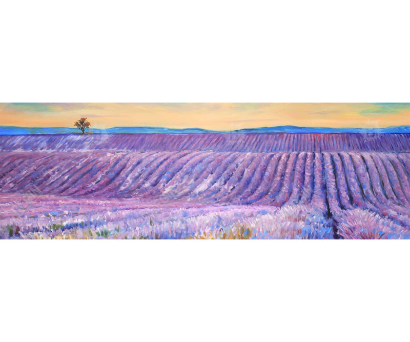 Paysage d'un champ de lavande - reproduction botanique encadrée
