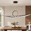 1 - Light Chandelier