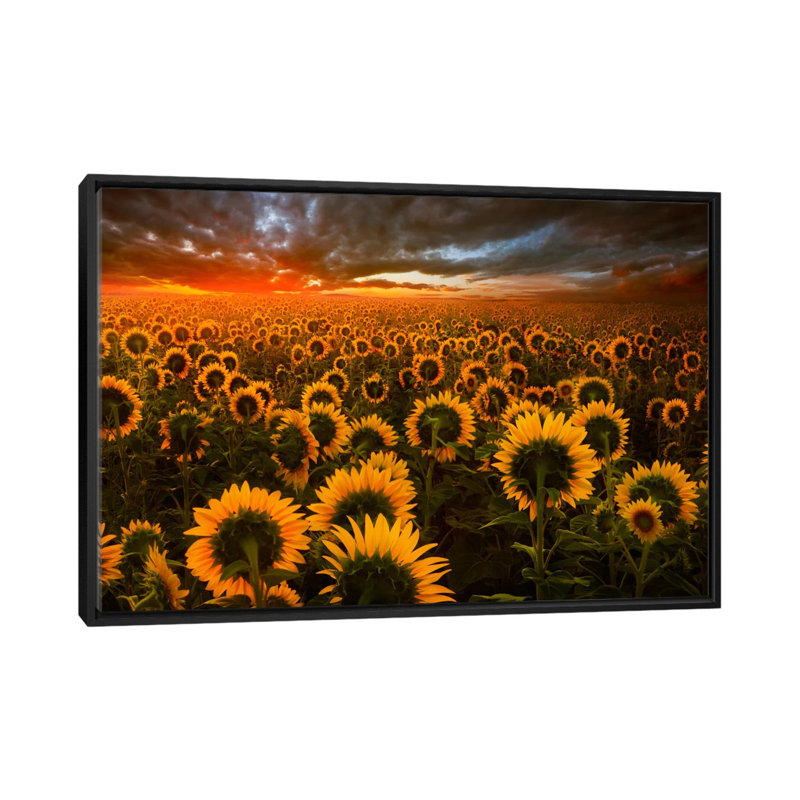 « echos of light », reproduction de photo sur toile, H 18 po x l 26 po x P 1,5 po, Toile avec cadre noir