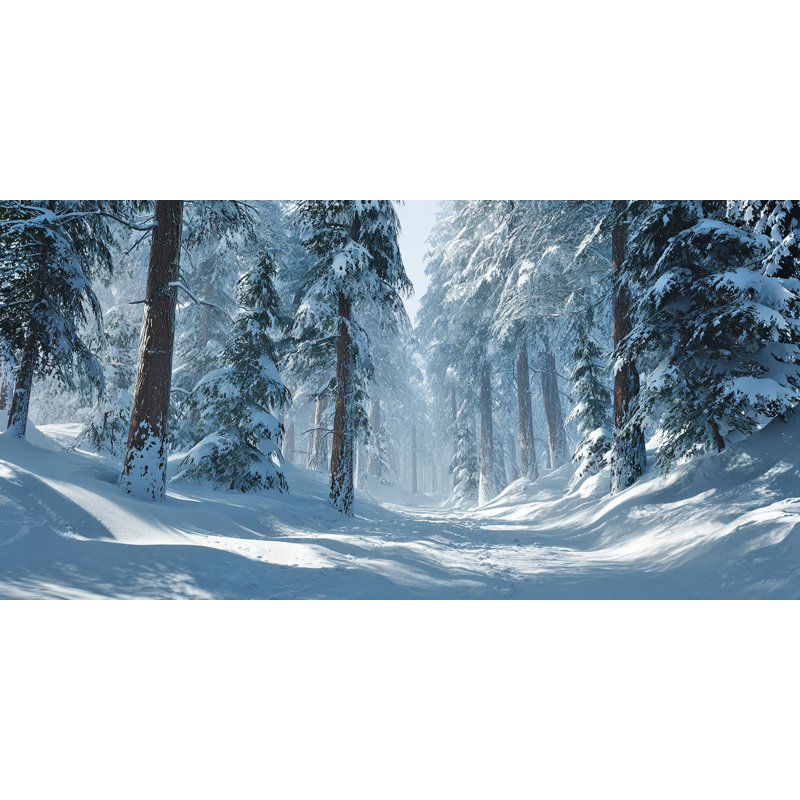 «Snowy Forest Pathway», art mural sur toile tendue, H 27,5 po x l 55 po