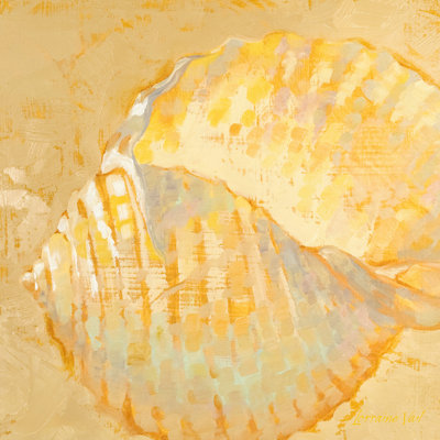 Shoreline Shells IV by Lorraine Vail - Wrapped Canvas Painting