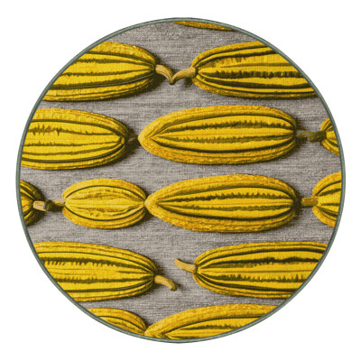  Washable African Horned Cucumber Fruits Area Rug