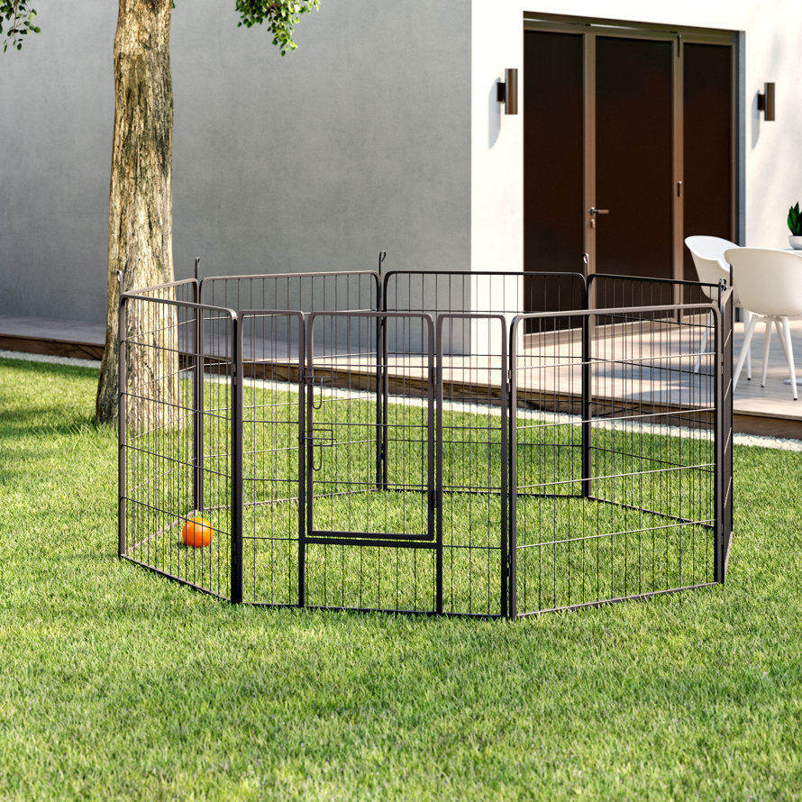 Outdoor Dog Kennels & Pens