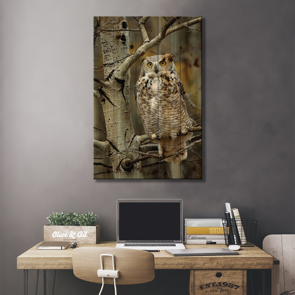 Great Horned Owl Pale Form, Perched in Tree, Alberta, Canada by Tim Fitzharris - Unframed Graphic Art on Wood Loon Peak®