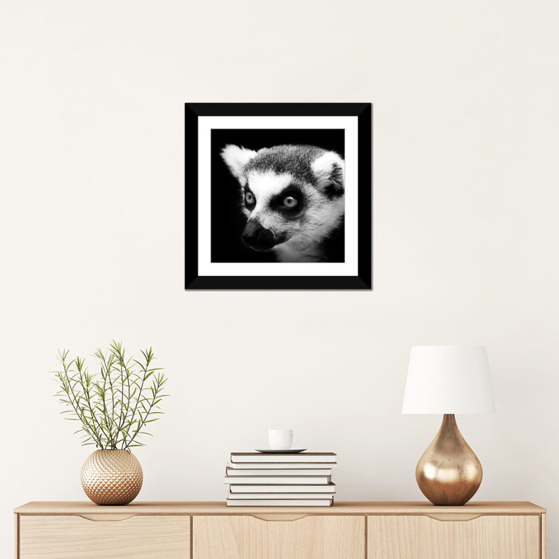 « lemur », reproduction de photo sur toile, H 24 po x l 24 po x P 1 po, Papier d'art encadré noir, Blanc