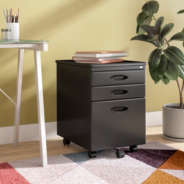 Wrought Studio Worton 2-Drawer Vertical Filing Cabinet, Black