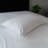 Zipper Polyester Sealy All Night Cooling Pillow Protector-64089509
