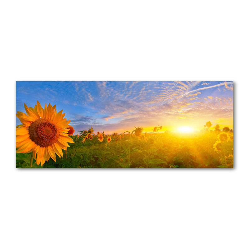 Field Of Sunflowers - No Frame Print on Canvas