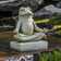 Campania International, Inc Mini Zen Frog Statue & Reviews | Wayfair