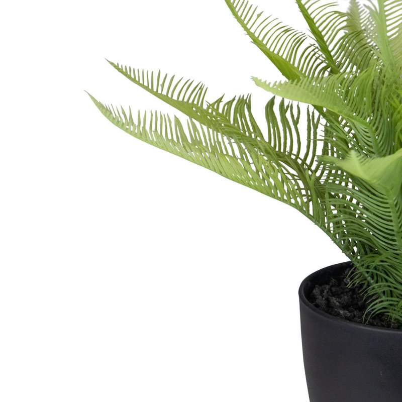 Evergreen Bliss 12" Artificial Pinus in Black Pot for Indoor/Outdoor Decor