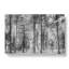 Montana Forest - Wrapped Canvas-56633351