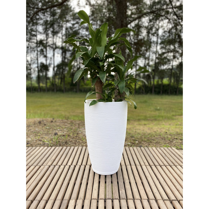 Pot de fleurs en résine Amsterdan, White, 25.59" H x 16.14" W x 16.14" D