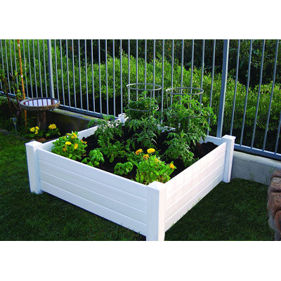 Lit de jardin surélevé en plastique 4 pi x 4 pi Lanedra
