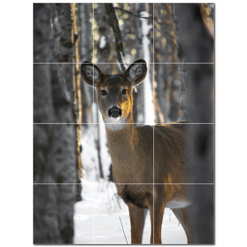 Photo de cerf 4,25 x 4,25