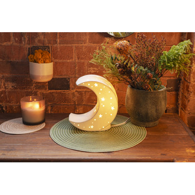 Pinache 20.6cm Table Lamp