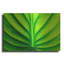 «Green Design 2» par PhotoINC Studio
