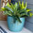 14 in (35.6 cm) Raised Hexagon Pattern Glazed Ceramic Planter - Turquoise