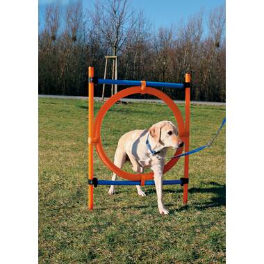  PawHut 4PC Obstacle Dog Agility Training Course Kit