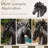 Classical Horse Head Bust Garden Statue