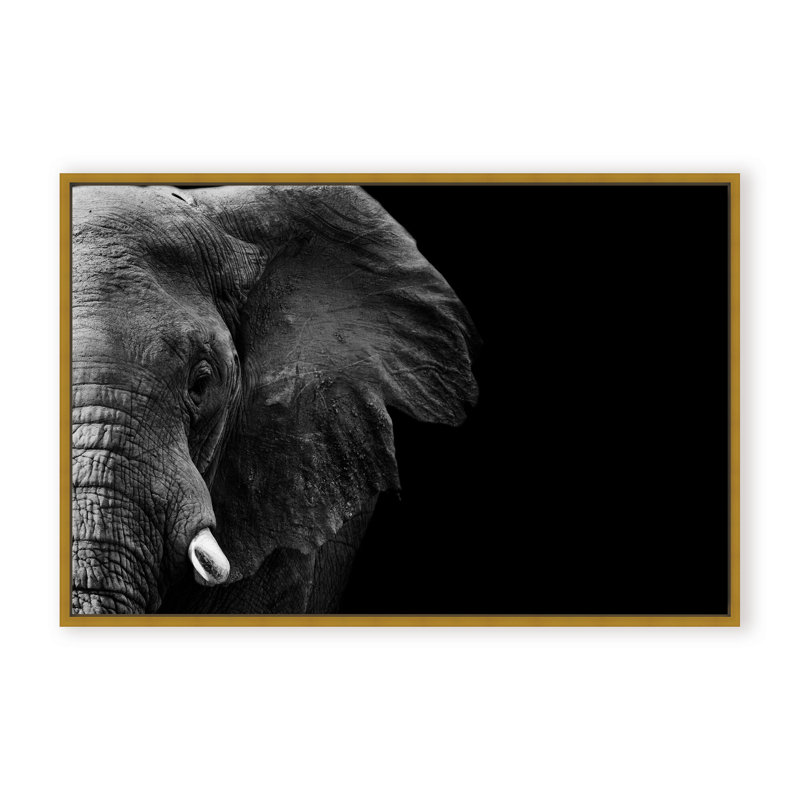Nature Inspired Elephant by  - Picture Frame Photograph on Paper, 32" H x 48" W x 1.125" D, Framed Matted Print, Black