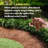 Nyella Long Leaf Pine Straw Bale