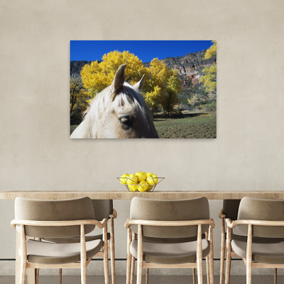 Yeux et oreilles de cheval, arbres de peuplier de couleur d'automne, canyon de San Diego, montagnes Jemez, Nouveau-Mexique, cheval contemporain abstrait, nature, automne