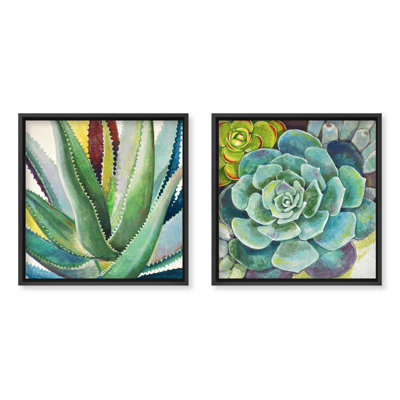 Brilliant Succulents I/II by Norman Wyatt Jr. - Wrapped Canvas Print Set