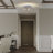 Alaisia LED Flush Mount