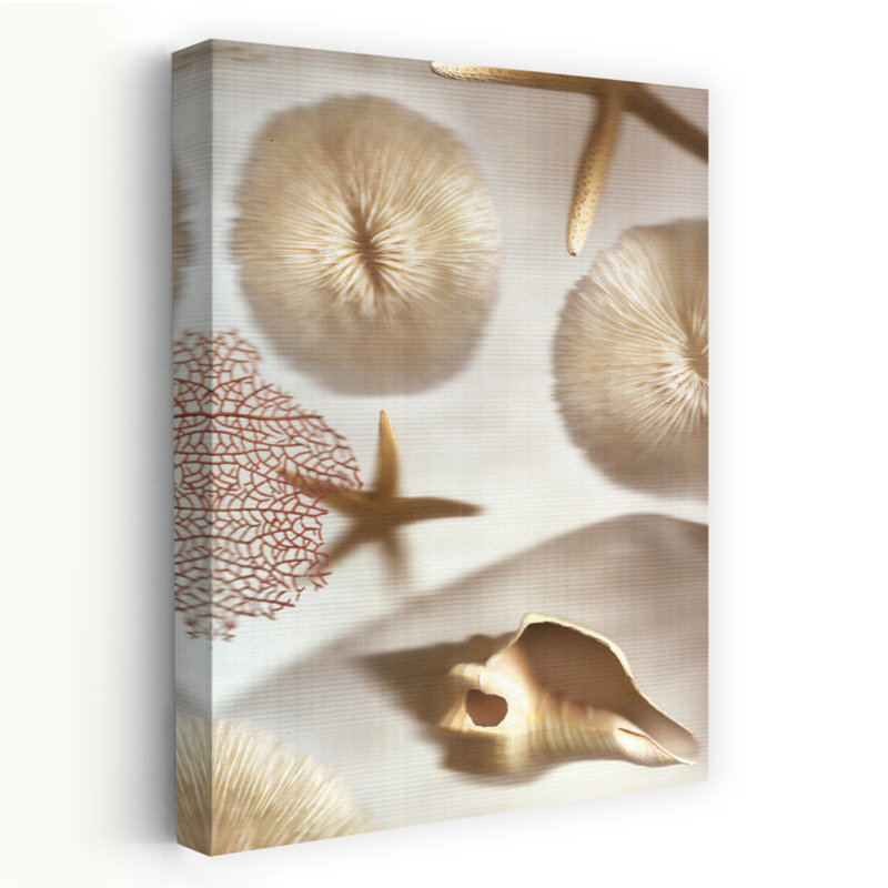 Nautical Illuminations No.1 - Photographie de fleurs et de natures mortes, H 60 po x l 40 po