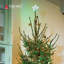 Décoration pour sommet de sapin étoile de Noël à DEL-63662748