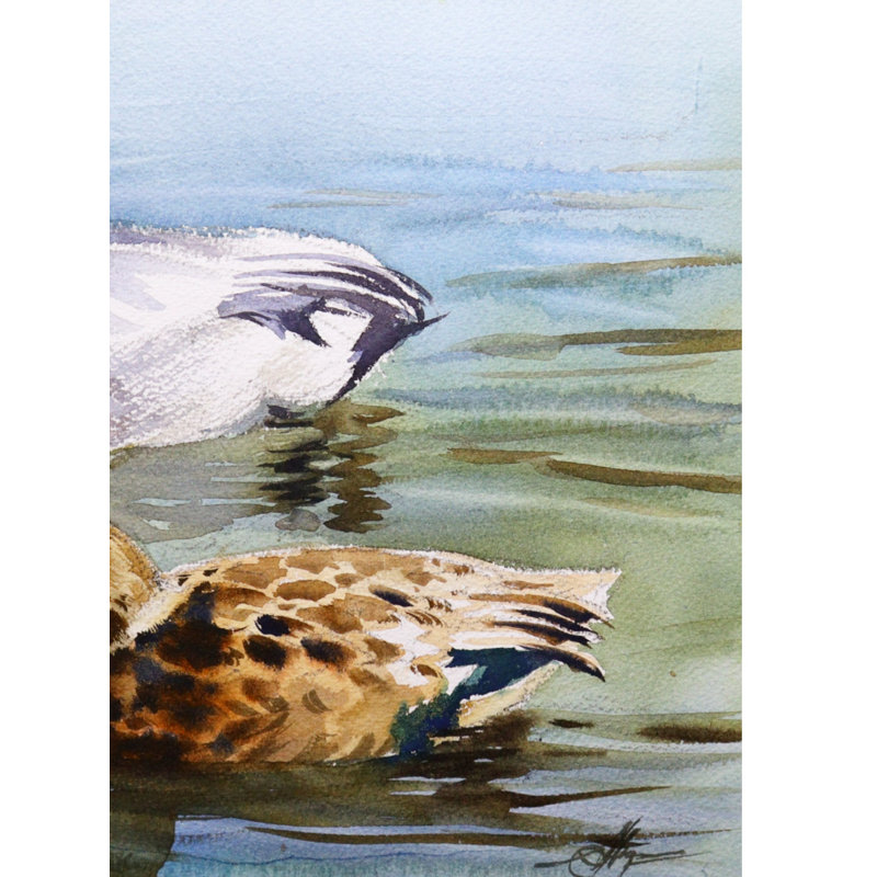 Caneton avec sa mère | Aquarelle par Achintya Hazra